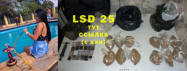 гидра Абаза