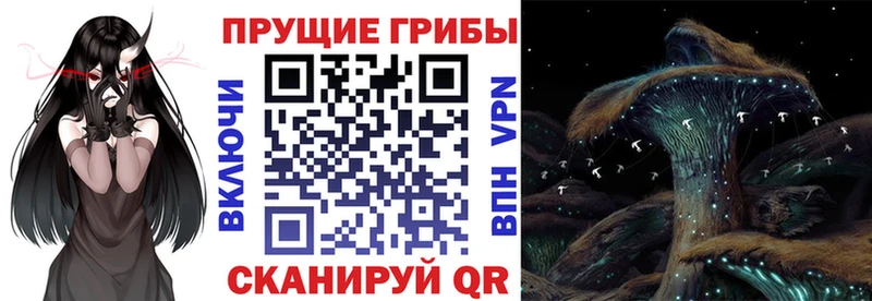 Галлюциногенные грибы ЛСД  Холмск 